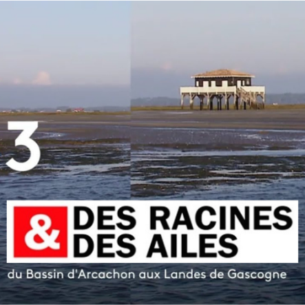 Des Racines et Des Ailes du Bassin d‘Arcachon aux Landes de Gascogne DAGprod Music